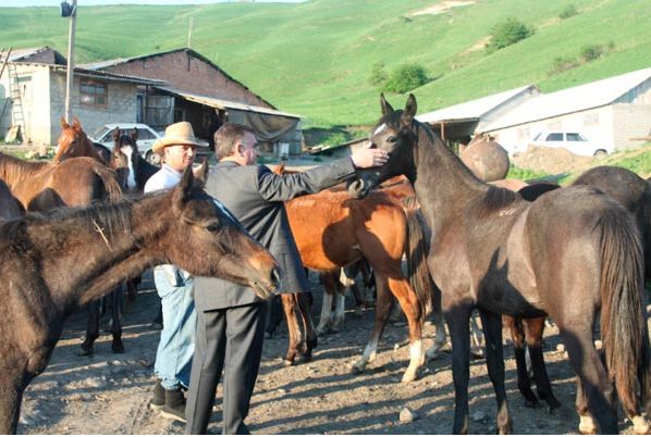 Конные маршруты и туры по Ингушетии Председатель Правительства Муса Чилиев в фермерском хозяйстве Аргамак